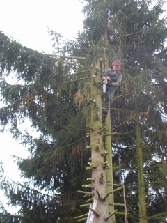 baum_ohne_aeste baum_ohne_aeste